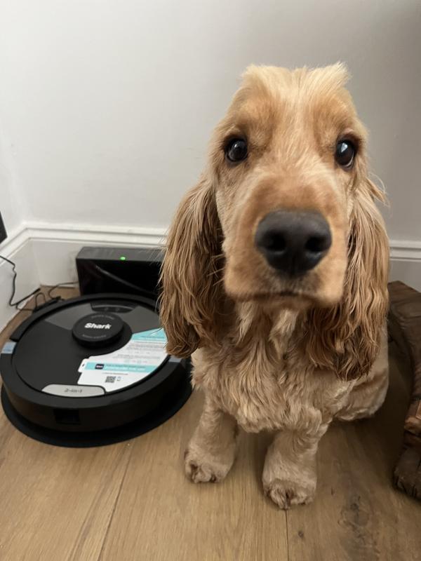 User generated review image 3