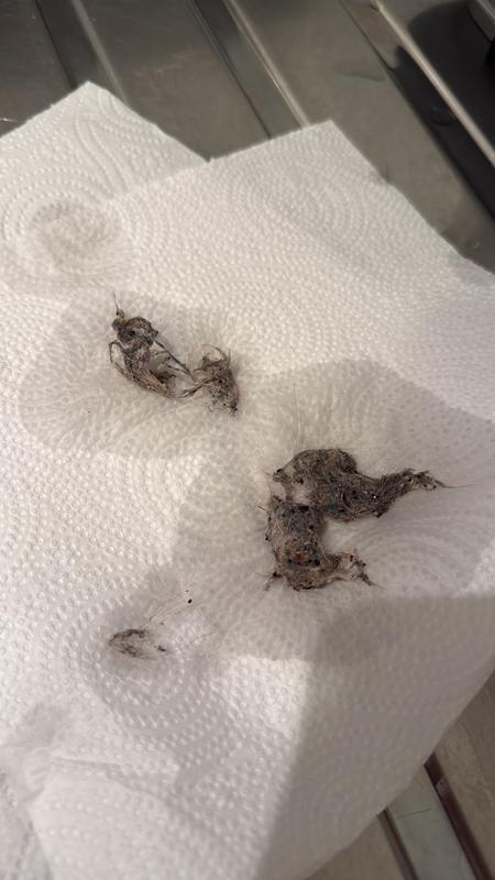 User generated review image 3