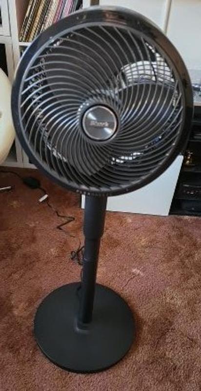 User generated review image 2