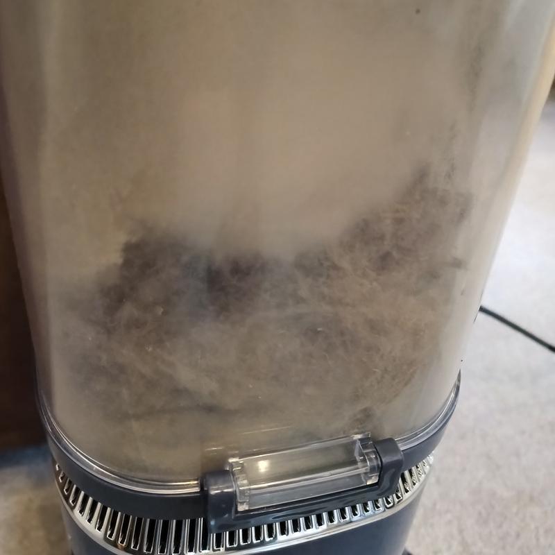 User generated review image 1