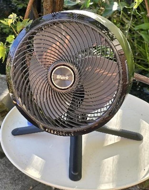 User generated review image 1