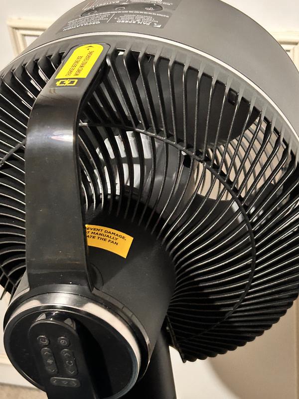 User generated review image 3