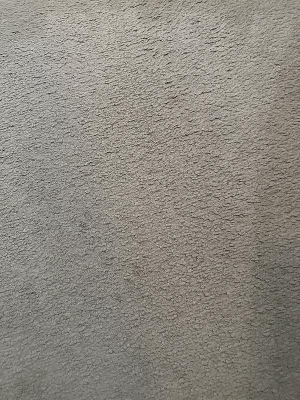 User generated review image 2