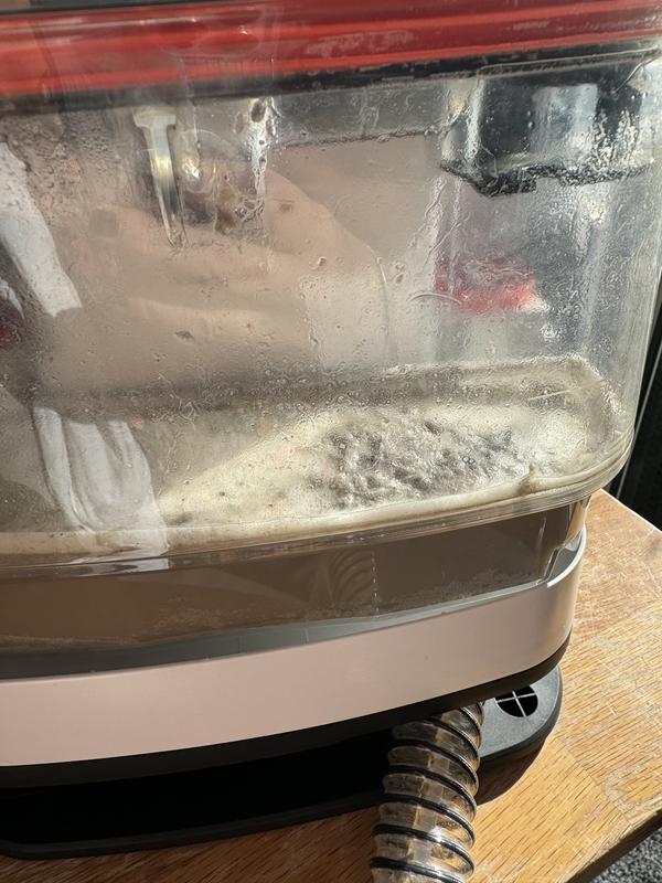 User generated review image 2