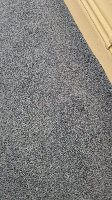 User generated review image 2