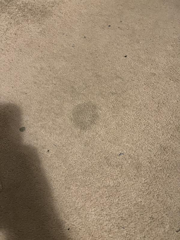 User generated review image 3