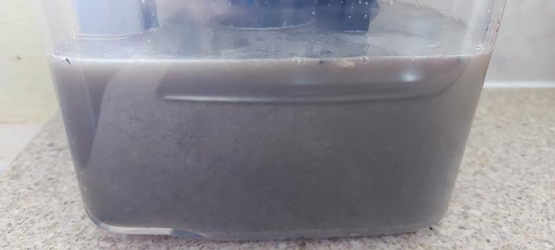 User generated review image 3