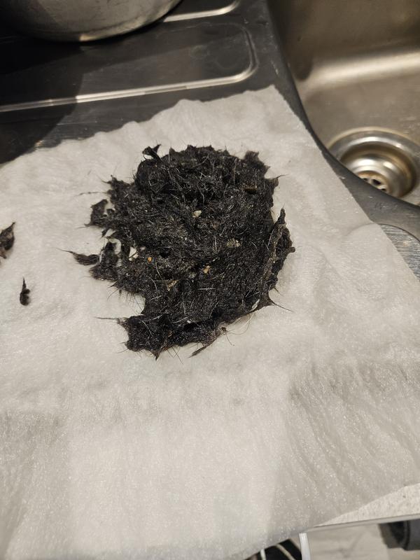 User generated review image 1