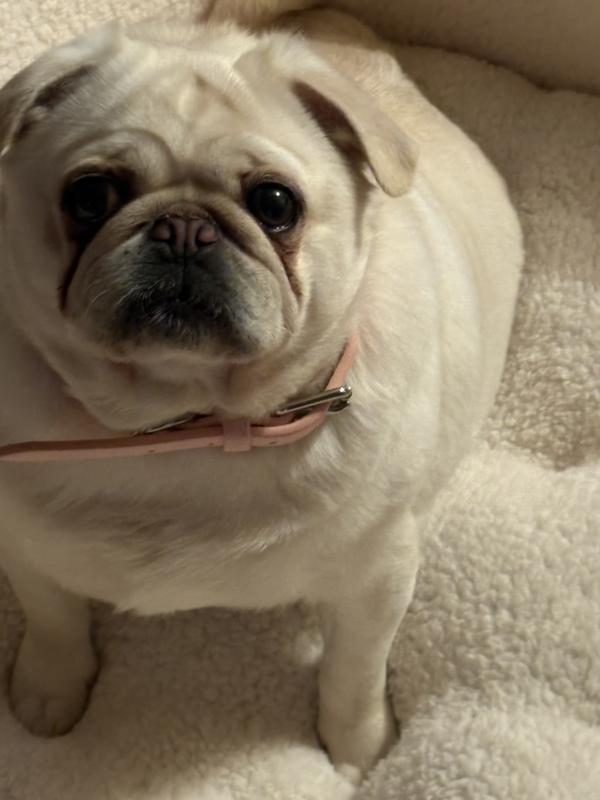 User generated review image 2