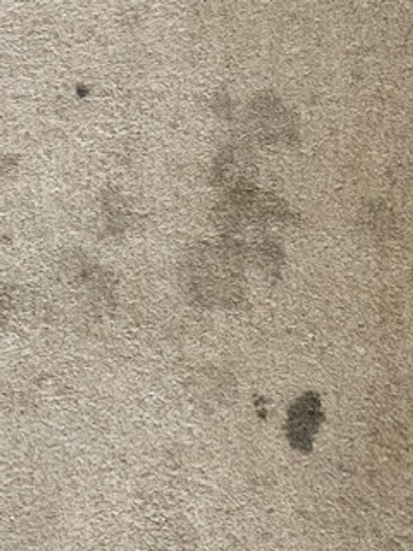 User generated review image 1