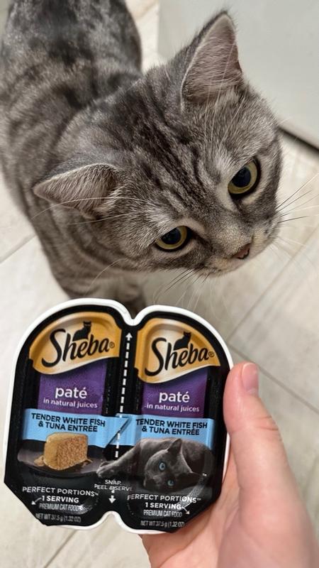 Sheba perfect portions review clearance