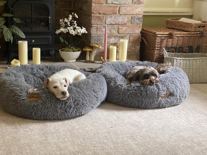 Silentnight Donut Pet Bed Free Delivery