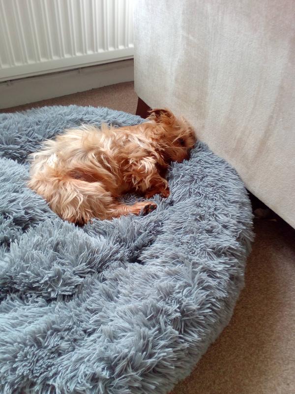 Silentnight Donut Pet Bed Free Delivery