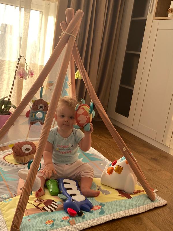 Skip Hop Camping Cub Activity Gym at Babies R Us