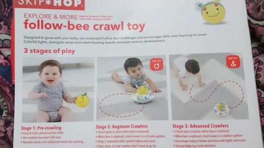 Follow bee best sale crawl toy review