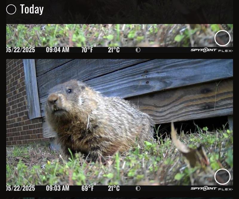 Photo submitted with review of product