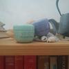 Duo Dewy cream et Water cream