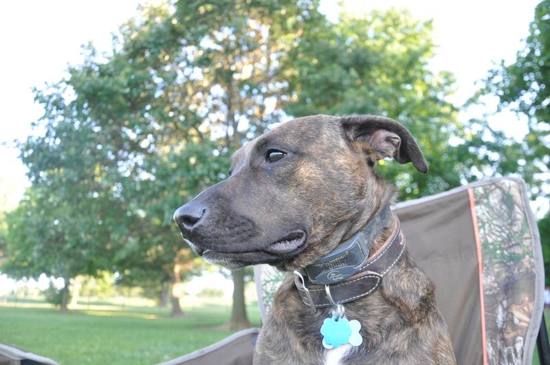 Annabelle wearing her SportHunter