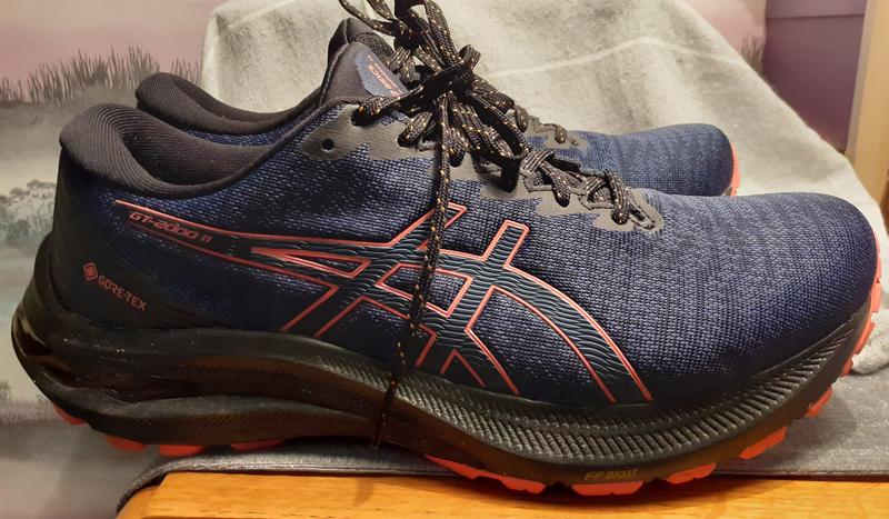 Asics gt 2000 4 deals gore tex