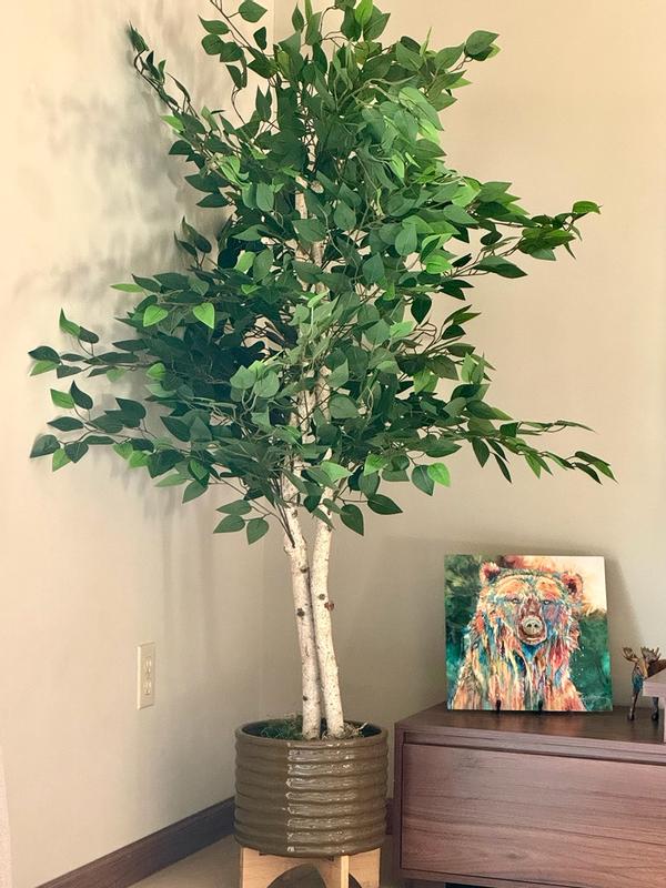 Albero Di Ficus Artificiale 1,8 M Con Vaso – Pianta Finta In Seta Per Interni – Decorazione Casa E Ufficio