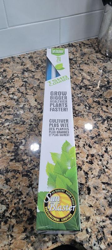 Photo - commentaire&nbsp;1.