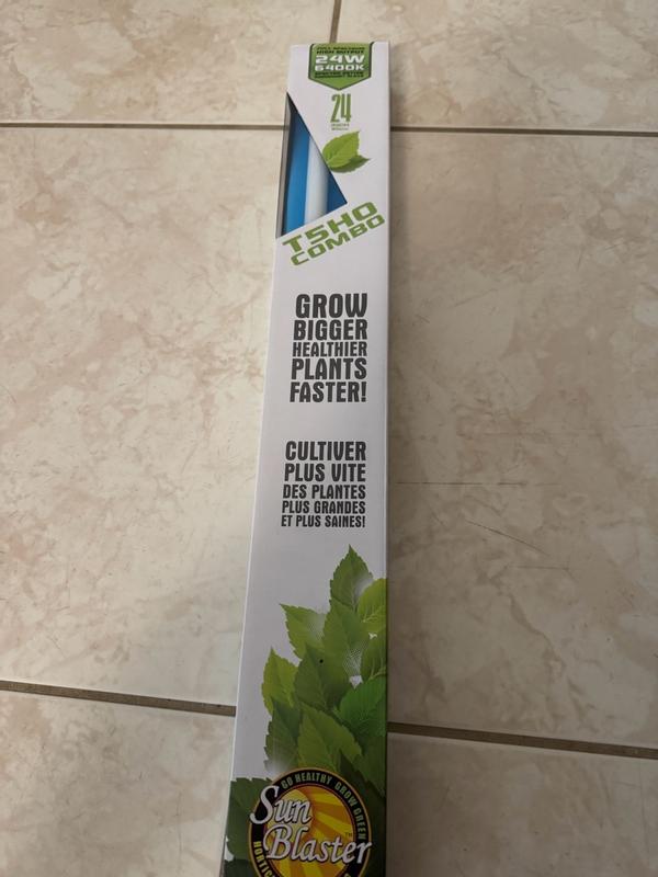 Photo - commentaire&nbsp;5.