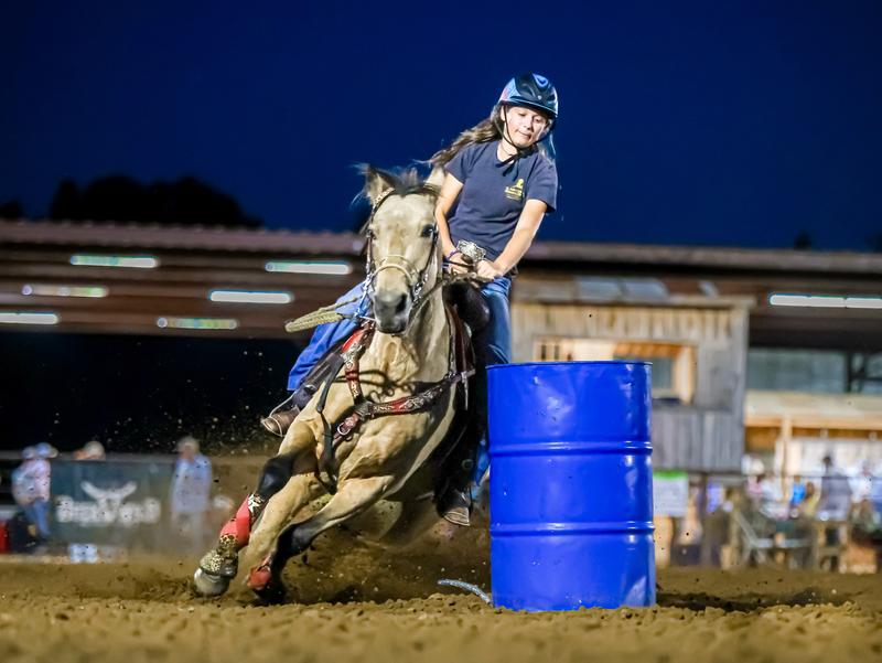 One of our spoiled horses