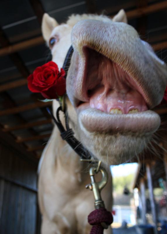 Arty love these treats!