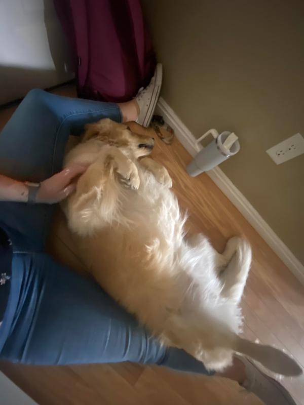 User uploaded product image