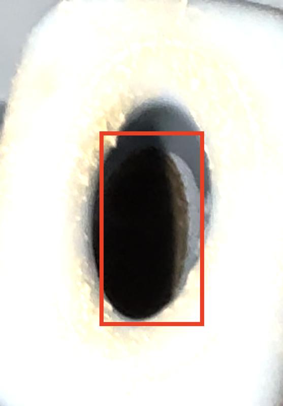 User uploaded product image