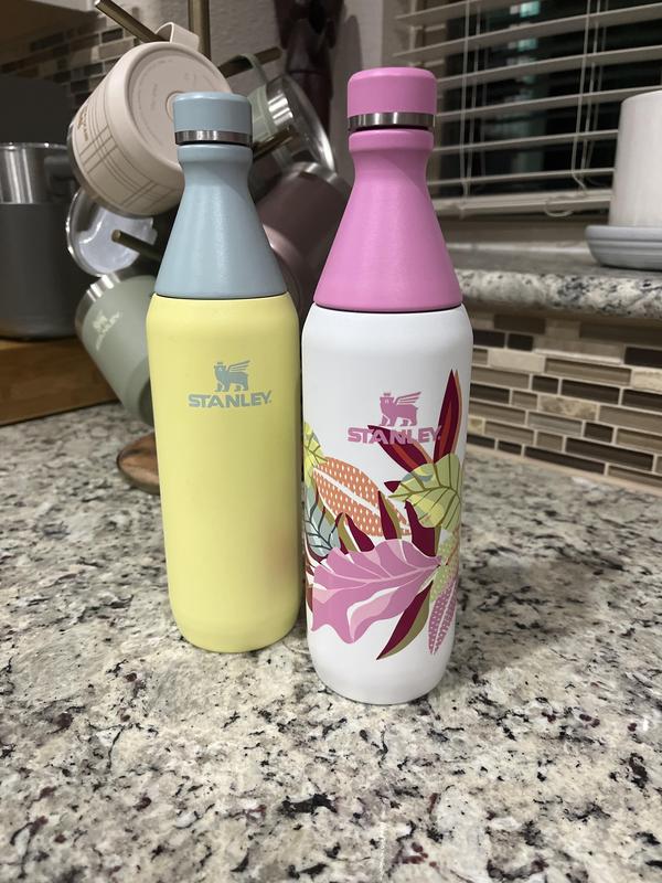 Stanley 20 oz. All Day Slim Bottle | Dick's Sporting Goods