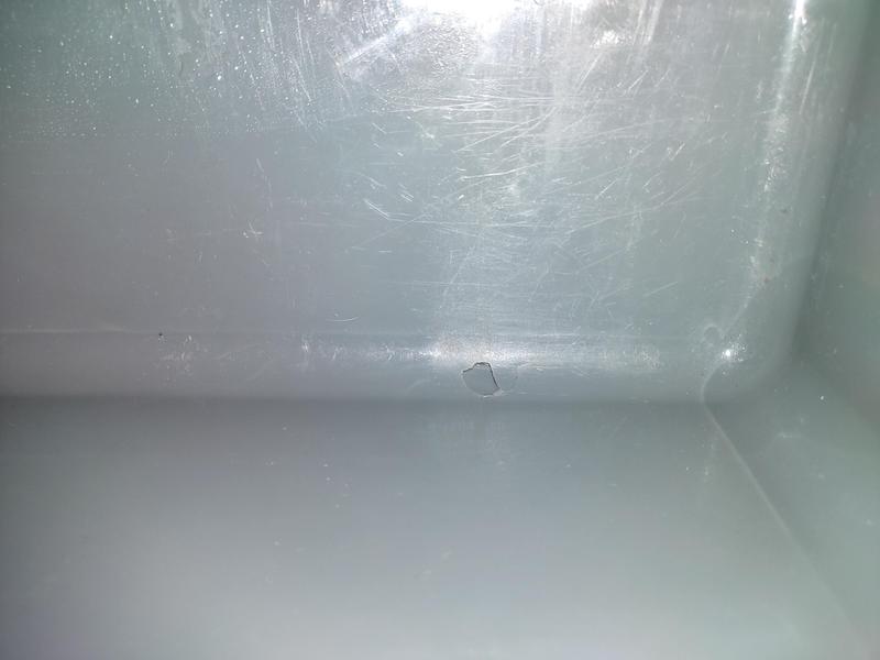 Photo submitted with review of product