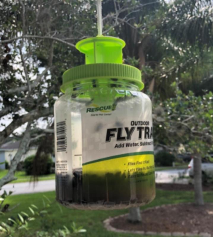 Rescue Fly Trap