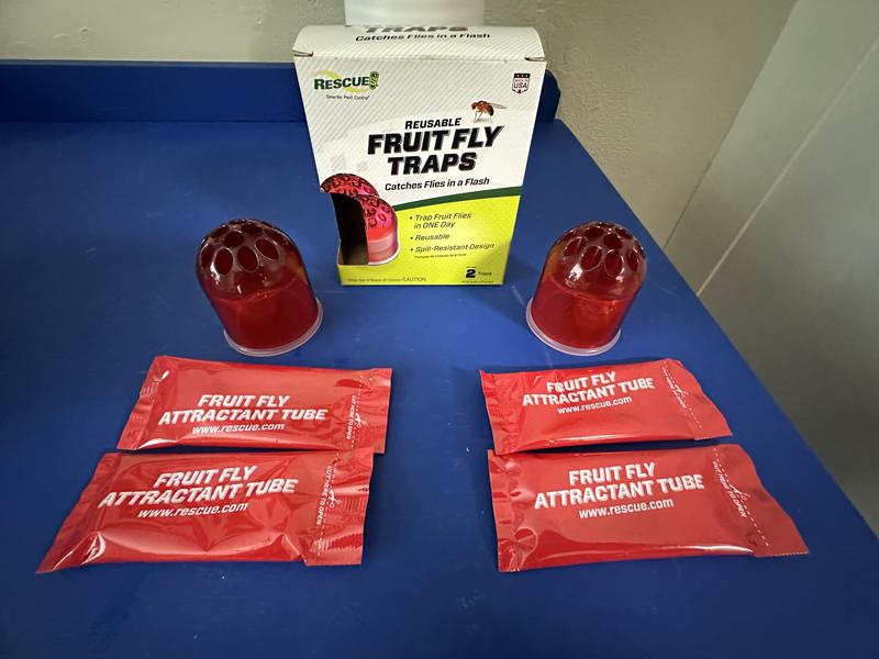 What came in the box