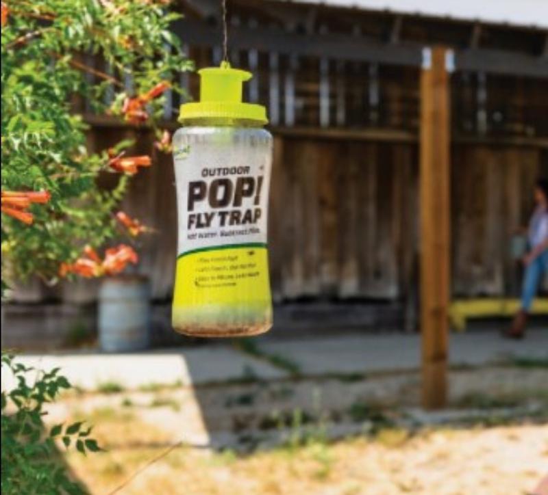 Rescue Pop! Fly Trap