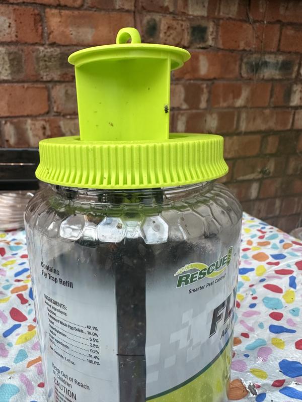 Day 10, about 3/4 full. Should have emptied it this day instead of waiting a little longer.