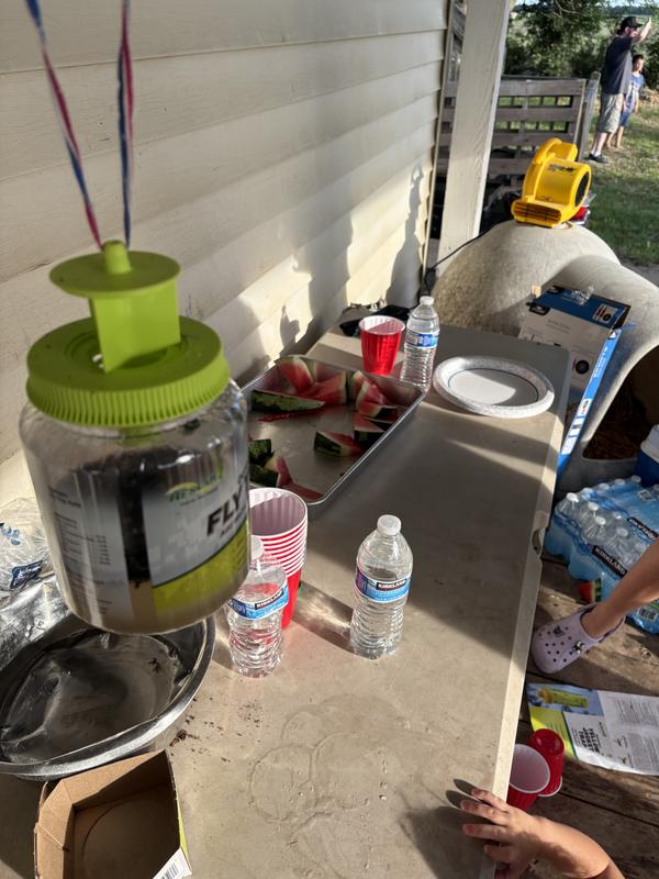 Saved our watermelon from flies!