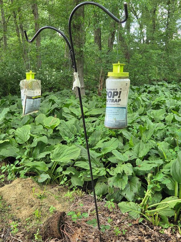 Both versions work well