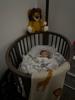 Customer review photo 10