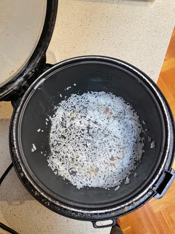 First ImpressionSunbeam 16 cup rice cooker ~ DearMamaSal 