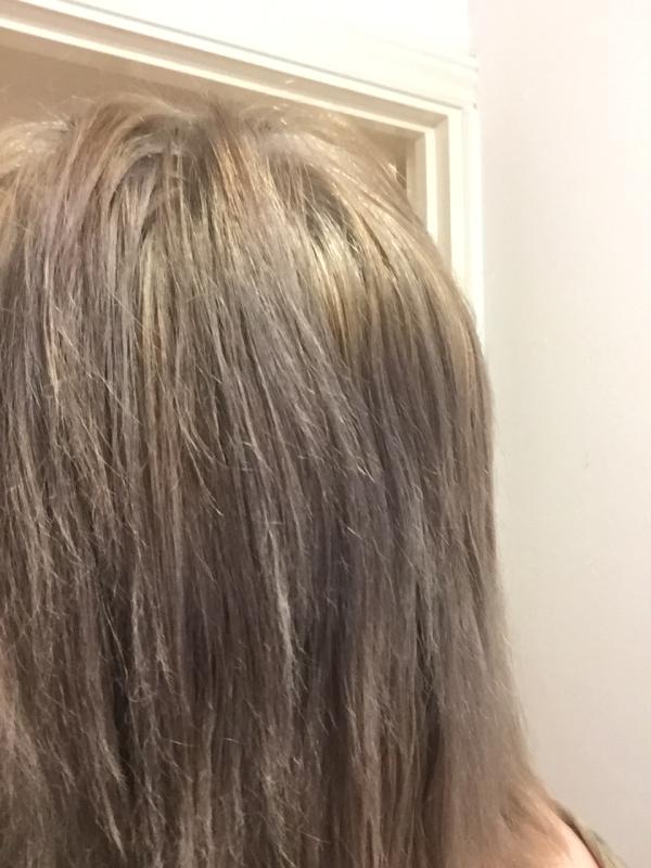 Bleach London Fade To Grey Kit Hair Superdrug