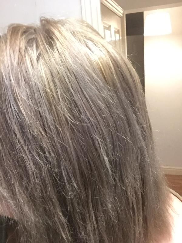Bleach London Fade To Grey Kit Hair Superdrug