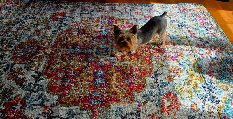 Revisione aperta modale 1 su 2