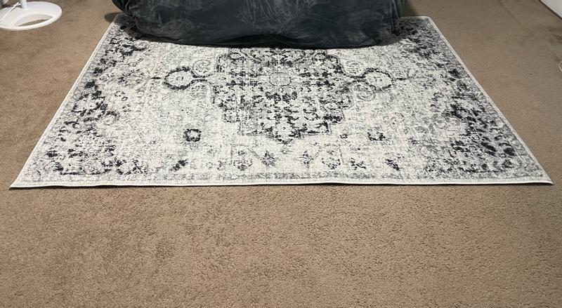 Revisione aperta modale 1 su 2