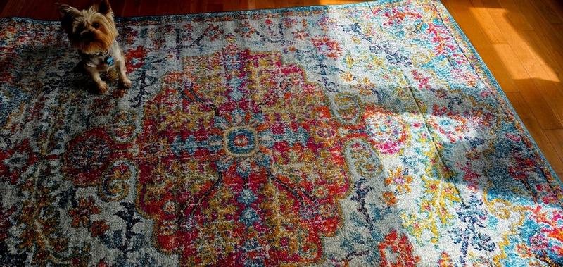 Revisione aperta modale 2 su 2