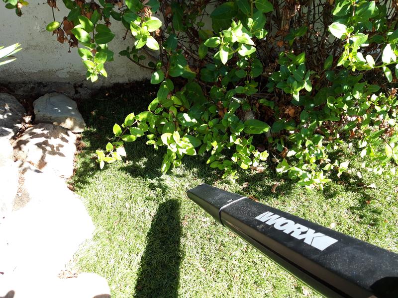 Revisione aperta modale 3 su 6