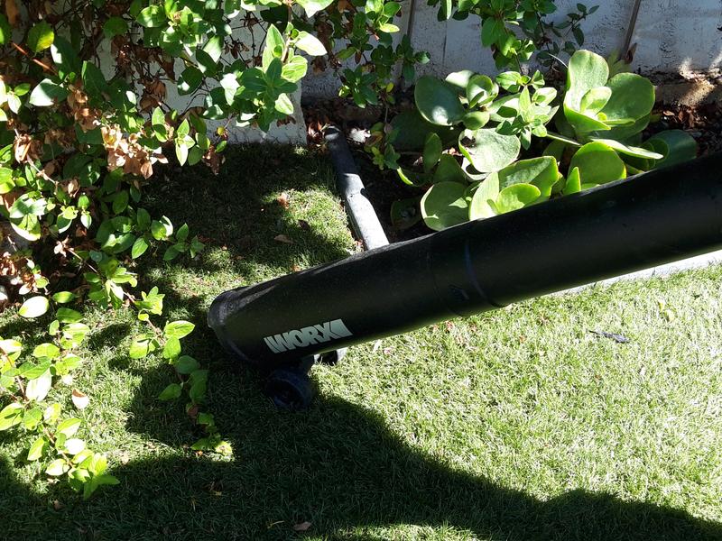 Revisione aperta modale 2 su 6