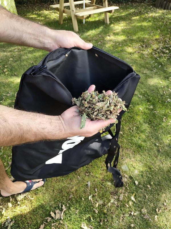 Revisione aperta modale 6 su 6