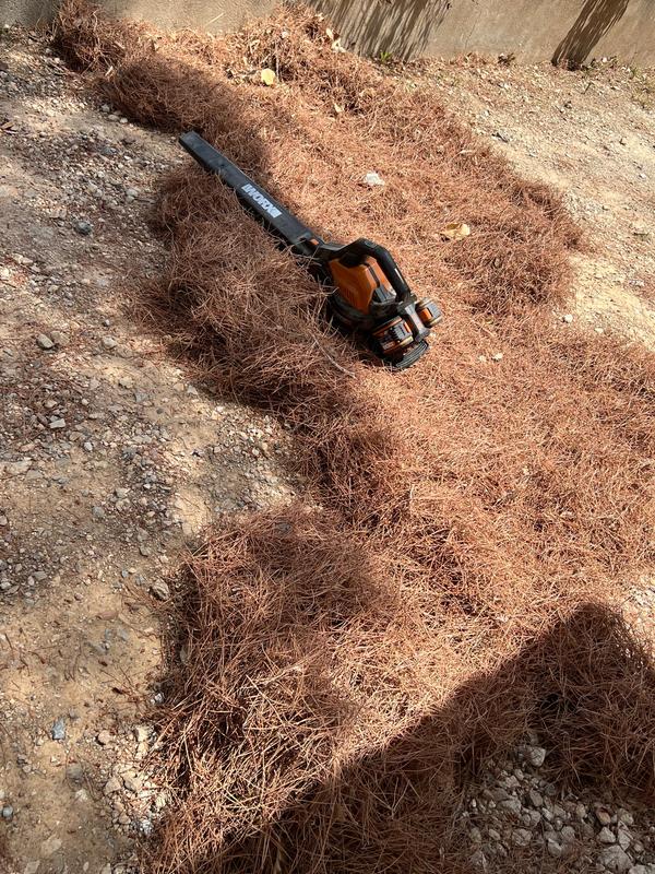 Revisione aperta modale 2 su 3