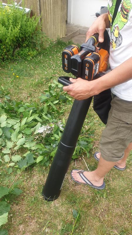 Revisione aperta modale 5 su 6